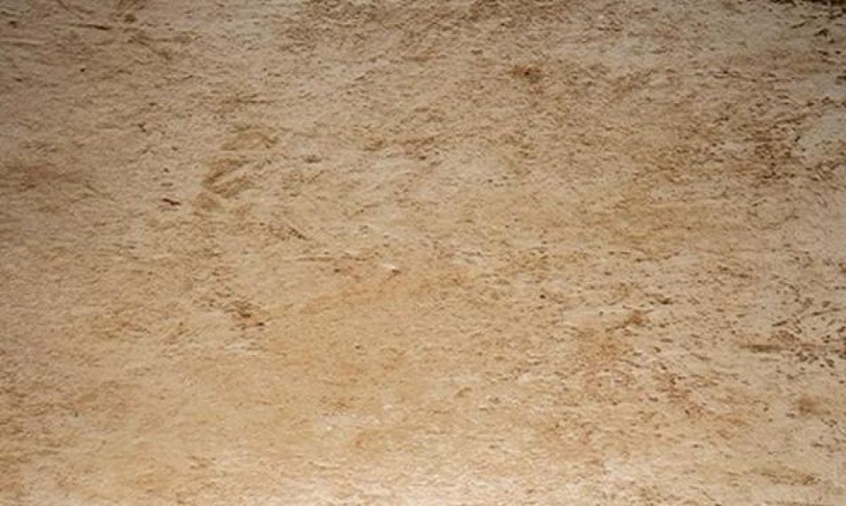 Pietra di Lecce Ambra 30x50