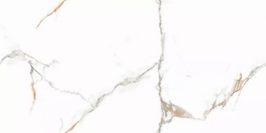Platinum Gold Glossy 60x120