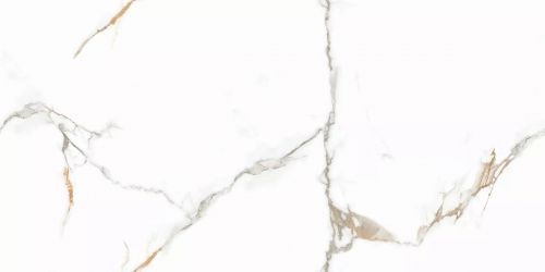 Platinum Gold Glossy 60x120