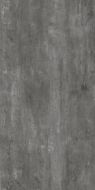 Platinum Gris Matt 60х120