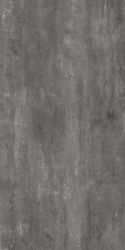 Platinum Gris Matt 60х120