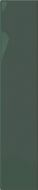 Plinto Green Gloss 10.7x54.2
