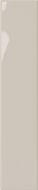 Plinto Greige Gloss 10.7x54.2