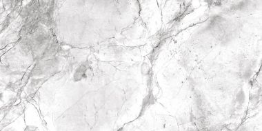 Portobello Polished 60x120
