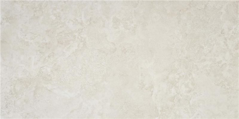 Premiere Ivory Matt 60x120