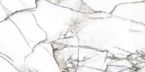 Premiere White Ep 60x120