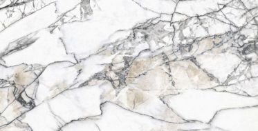 Premiere White SP 60x120
