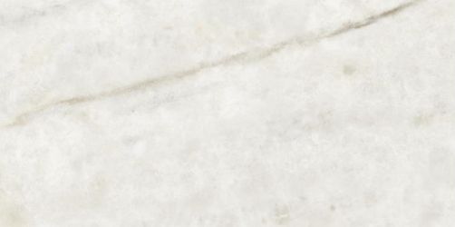 Prestige Natural Pulido Rect 60x120