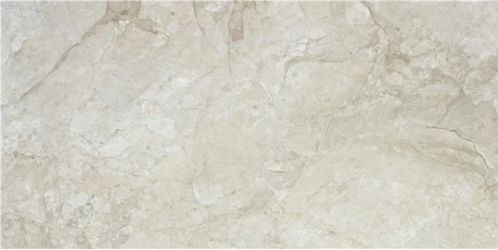 Pulido Stream bone Rect 60x120