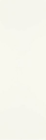 Pure City Bianco Rekt 29.8x89.8