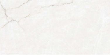 Quartzite White Matt 60x120