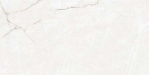 Quartzite White Matt 60x120