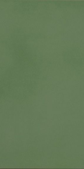 R-Evolution Green 36SC R10 60x120