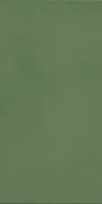 R-Evolution Green 9mm 60x120