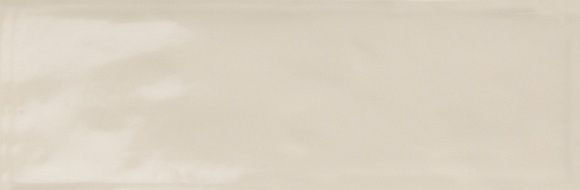 R4GL Brick Glossy Grey 10x30