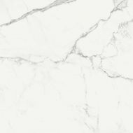 R72Y Statuarietto Glossy Rettificato 58x58