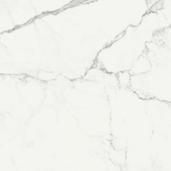 R72Y Statuarietto Glossy Rettificato 58x58