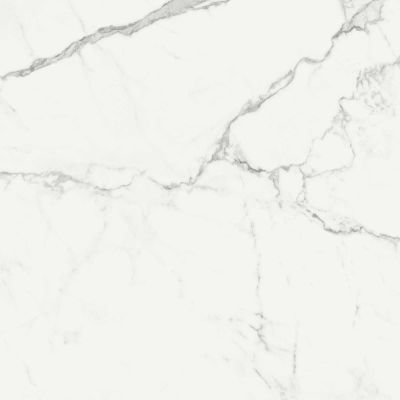 R72Y Statuarietto Glossy Rettificato 58x58