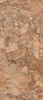 R8MZ Breccia Pernice GL RT 120x278