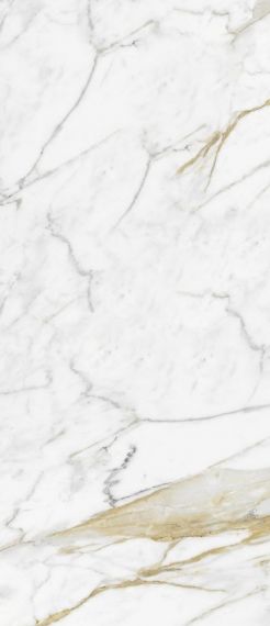 R8NG Calacata Michelangelo GL RT 120x278