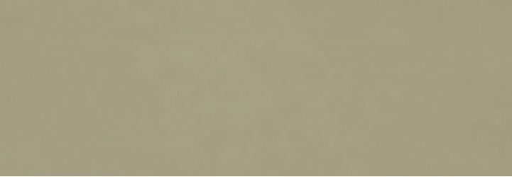 RA6E Плитка Vida Verde Rett 30x90