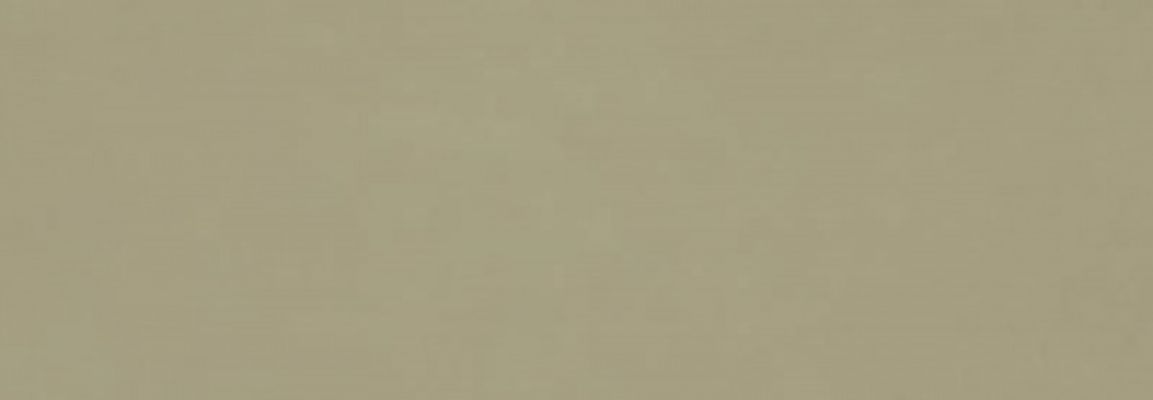 RA6E Плитка Vida Verde Rett 30x90