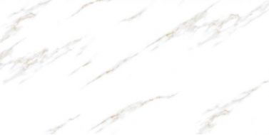RADIAL STATUARIO 60x120