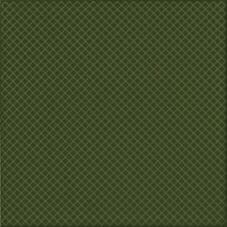 REGIS VERDE BOTELLA 20*20
