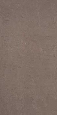 REM 36TOL 30x60