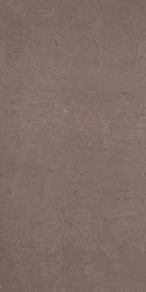 REM 36TOL 30x60