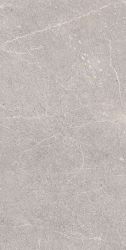 RG6001-A Керамогранит Equistone Gris Rotto Glossy Ink 60x120