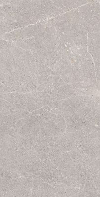 RG6001-A Керамогранит Equistone Gris Rotto Glossy Ink 60x120