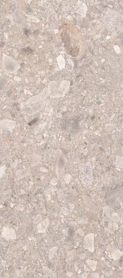 RH0L49M01 Керамогранит Rochi Fog 60x120