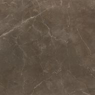 ROYAL PULPIS KHAKI Rektifiye Parlak Nano 80X80