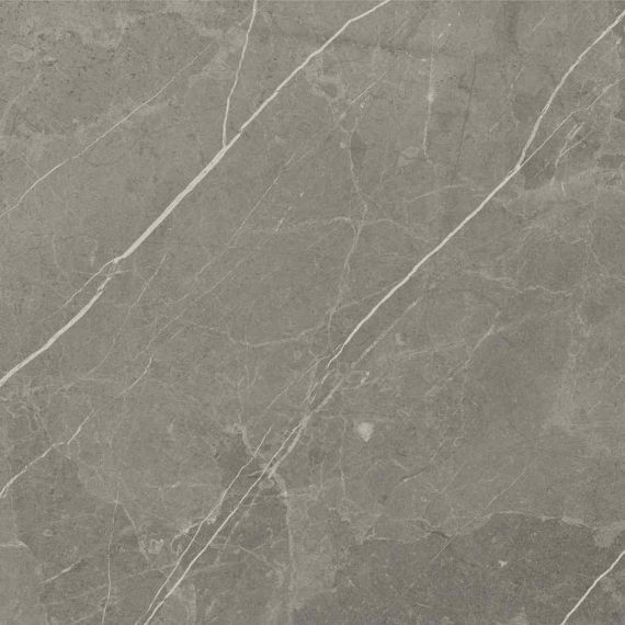 RS 1002 Grey Carving 60х60