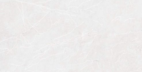 RS 1029 White Carving 60х120