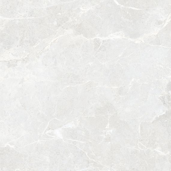 RS 161 Cement Endless Carving 60x60