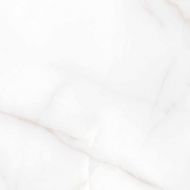 RT6004-A Керамогранит Feather Onyx Matt Rustic 60x60