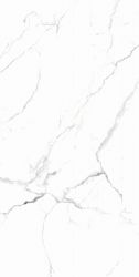 RT7018-A Керамогранит Carrara White Matt Rustic 60x120