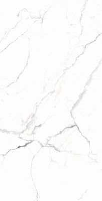 RT7018-A Керамогранит Carrara White Matt Rustic 60x120