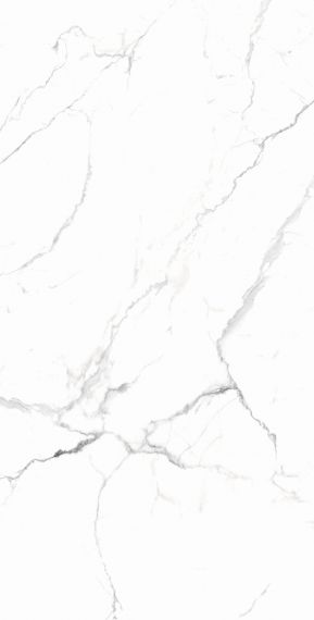 RT7018-A Керамогранит Carrara White Matt Rustic 60x120