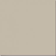 RW 031 Rainbow неполированный 60х60