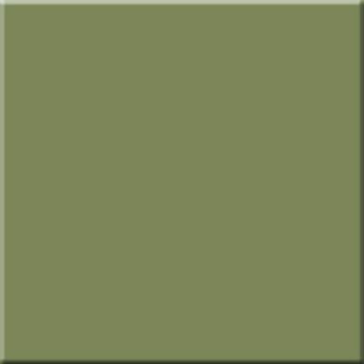 RW 06 Rainbow полированный 60х60