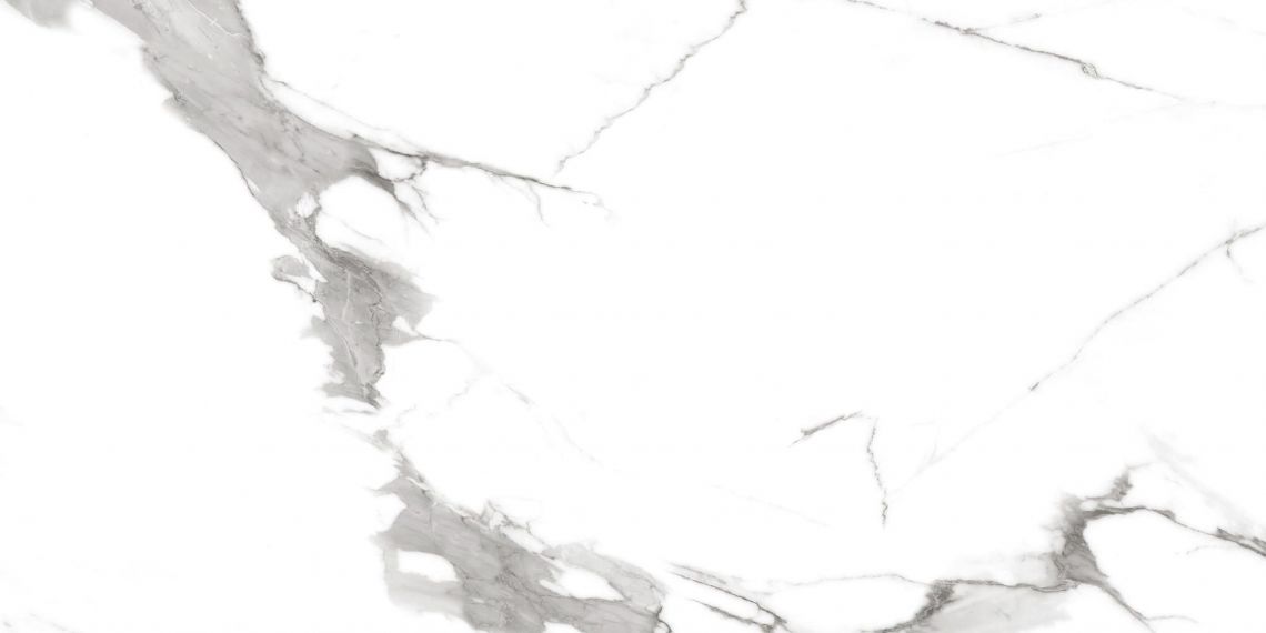 R_PR2004 Керамогранит Segesta Grey Polished 60x120