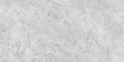 R_PR2016 Керамогранит Silver Cascade Polished 60x120