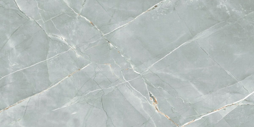 R_PR2019 Керамогранит William Grey Polished 60x120