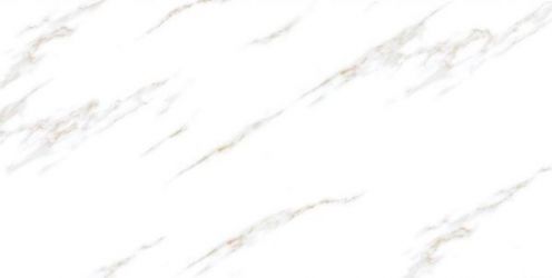Radial Statuario Polished 60x120