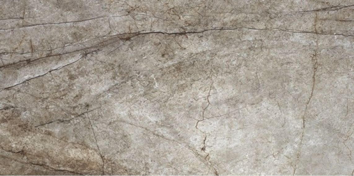 Rain Forest Natural 60x120