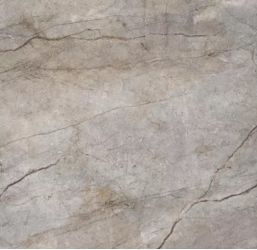 Rain Forest Natural Pulido 120x120