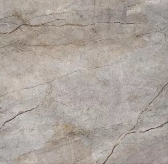 Rain Forest Natural Pulido 120x120